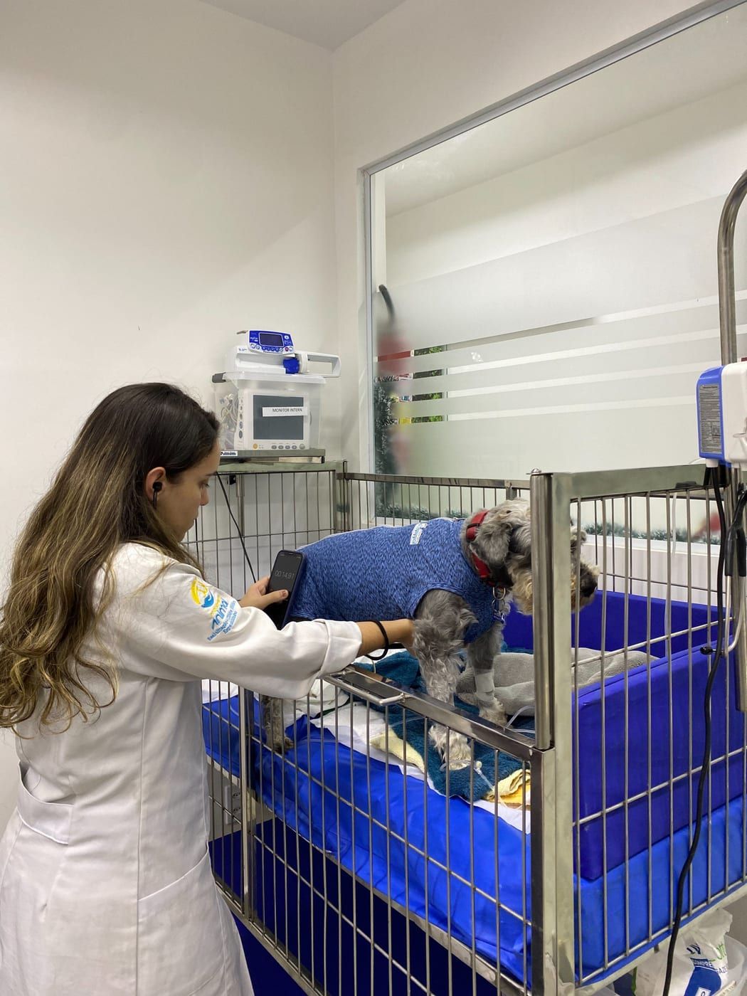 Internação veterinária com monitoramento 24h na Movimento Animal, Brasília