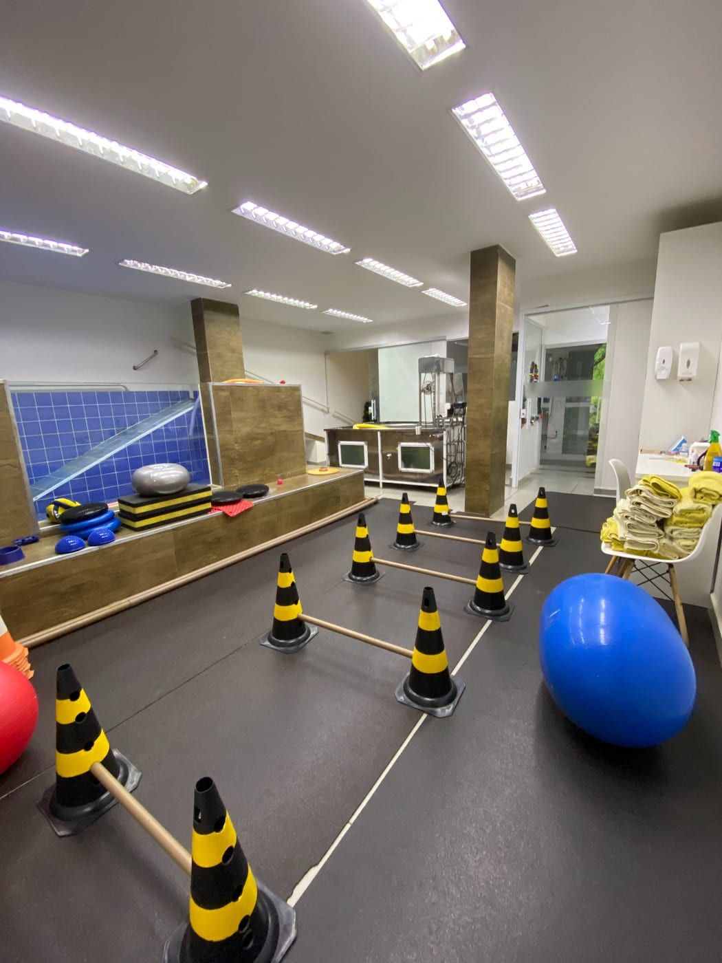 Sala de reabilitação da Movimento Animal, com piscina e cones
